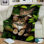 Soe ja hubane armas kassi mustriga flanelltekk diivanile, voodile, diivanile, kontorisse - pehme ja rahustav digitaaltr&uuml;kiga visketekk 30x40in
