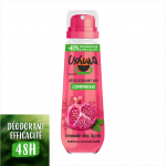 Assoorid Granaat&otilde;una 48h Deodorant sprei 100 ml- USHUAIA 100 ml
