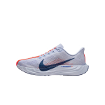 Nike Pegasus Plus Ghost Meeste Tossud Sinine Sinine-T&uuml;hi Ere-Punane FQ7262-006 40 gray