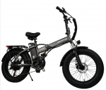 New E-bike DZ2002 electric folding bicycle mountain bike 20 inches 750W 48V 16AH outdoor electric bicycle 750W 48V 16AH hall