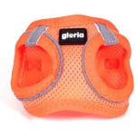 Harnais pour chien - GLORIA - Trek Star - Taille XS - Couleur Orange - Dimensions 15,16 x 1,73 x 19,77 cm puhas