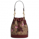 Coach Kirsside Prindiga Kunstnahast &Auml;mbrimoodi K&auml;ekott Naistele Pruun Kollane Mitmev&auml;rviline CY738-IMTAM Basic Set (Bag+Dust Bag)