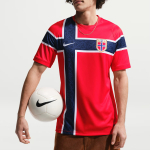 Nike Norra 2026 Stadium Koduv&auml;ljaku meeste Nike Dri-FIT jalgpalli replikavorm IB5316-673 L red