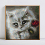 Teemantmosaiigist kassi ja lille teemantmaaling tikandid 30x30CM