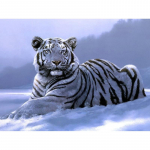 Teemantmaaling White Tiger 5d Teemant, teemantmaali kristall 20X30CM