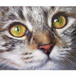 Teemanttikandid 5D DIY Teemantmaali Koerad Ristpistes Kass 100% t&auml;is Rhinestone 20X30CM