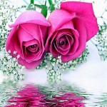 Teemantmaalikomplekt Lill 5D Teemantmaali n&auml;put&ouml;&ouml; Teemantmaali t&auml;ispuur 20*20cm