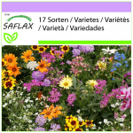 SAFLAX &ndash; Golfim&auml;ngija unistuste segu &ndash; 1000 seemet &ndash; 17 Wildflower Mix