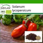 SAFLAX &ndash; Mahe &ndash; Tomat &ndash; San Marzano &ndash; 15 seemet &ndash; Potisubstraadiga paremaks kasvatamiseks &ndash; Solanum lycopersicum