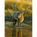 DIY Deer 5D Teemantmaal t&auml;isring puur Loom Teemanttikandid Ristpistes Mosaiikkomplektid Seinakunst Kodukaunistus Full Round 20x30CM