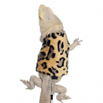 2 tk / komplekt Lizard rihmast riided varrukateta hingav pandla reguleerimine roomajate habemega draakoni vestiga top mesilasprint v&auml;ikeloomad pl&uuml;&uuml;sist rihmast riided kohv