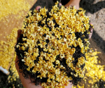 2023. aasta uus tee Osmanthuse must tee JinJunMei DanGui Xiao seemne must tee 500 g/1,1 naela
