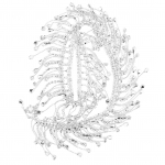 Rhinestone tutiga kett narmad Pruudi aplikatsioon kaunistus Kristall R&otilde;iva Koti kaunistus H&otilde;be h&otilde;be