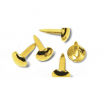 Attache parisienne Rond Dor&eacute; kuld