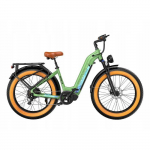 V&eacute;lo &Eacute;lectrique - OVIVO HYPER V6 - 250W - 48V 20Ah - Autonomie 150 km - Vitesse 25 km/h roheline