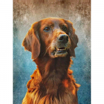 Teemanttikandiga koer Kuldne retriiver T&auml;is&uuml;mmargune teemantmaaling Rhinestones loomapildid 20X30CM