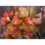 5D Teemantmaal, T&auml;is&uuml;mmargune teemanttikandid V&auml;rviga Kummaline Lill Rhinestone Tilga Saatmine 20X30CM