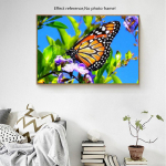 Teemanttikandid T&auml;ielik loom 5D Teemantmaaling Liblikas pilt kividest teemantkunst 20X30CM