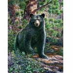 T&auml;ielik 5D Teemantmaaling Woods Black Bear Teemanttikandid T&auml;ielik Anime Ristpistekomplektid Kodukaunistused K&auml;sitsi valmistatud kingitus Round 20x30cm