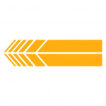 1 paar autotarvikuid Kleebised Mittepleekuv veekindel keskkonnas&otilde;bralik triibuline k&uuml;lgmise tahavaate peegli dekoratiivkleebis must