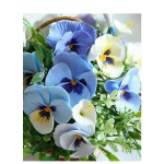 5D teemantmaaling Sinine koi orhidee t&auml;is&uuml;mmargune kivist tikand Mosaiik Lilled Ristpistes Kodukaunistus Full Round 20x30CM