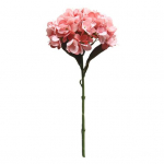 Kunstlilled Erksad Kunstlikud Kastmata Ainulaadsed Eluj&otilde;udu suurendavad Imitatsioonid Hortensiad Fotorekvisiidid