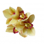 Faux Silk Flower Fake Peen, praktiline Real Touch Ultra realistlik simulatsioonits&uuml;mbiidium oranž