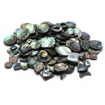 5 tk/pakendis naturaalsed abalone karbid, mitme kujuga merestiilis kestad lahtised helmed ehete valmistamiseks, naiste meeste kaelakeed, k&auml;ev&otilde;rud, aksessuaarid 5Pcs/Pack, 0.4-6cm
