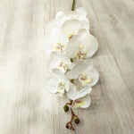 5 tk Lateks liblikas orhidee lilled 9 pead Real Touch kunstlik Phalaenopsis orhidee kodu lilledega kaunistamiseks