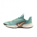 Nike Juniper Trail 3 Jooksukingad Naiste Tossud FQ0902-004 40.5 sinine