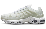 Nike Air Max Terrascape Plus Valge Puhtaks Plaatinaks DQ3977-100 40.5