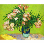 5D DIY teemantmaal  Van Goghi oleander  Teemanttikandiga ristpistes Rhinestone Mosaiic 20X30CM