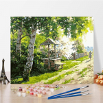 Kunst DIY maalimine numbrite j&auml;rgi Teemantmaal Hobid Digitaalne &otilde;limaal Numbrite maalimine &Otilde;limaal Kodukaunistus 40x50cm no frame