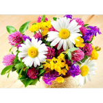 5D DIY Teemantmaaling Lilled Teemanttikandid Lavastused Ristpistes K&auml;sit&ouml;&ouml; T&auml;isringi puur Kodukaunistus K&auml;sitsi Kunst Kingitus Full Round 15x20CM