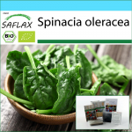 SAFLAX &ndash; kinkekomplekt &ndash; Orgaaniline &ndash; Spinat &ndash; Matador &ndash; 300 seemet &ndash; Koos kinkekarbi, kaardi, etiketi ja potisubstraadiga &ndash; Spinacia oleracea