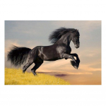 DIY 3D teemantmaaling Loomade hobuste tikandid Ristk&auml;sit&ouml;&ouml; Kodukaunistus Full Round 20x25CM