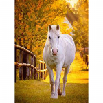 DIY Horse 5D Teemantmaal T&auml;isring puur Loom Teemanttikandid Ristpistes Mosaiik Komplektid Vaigust seina kunst Kodukaunistus Full Round 60x90CM