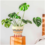 Les Tr&eacute;sors De Lily [Q6590] - bambusest istutusmasin 'Boho' punane oranž beež - 17x18 cm punane