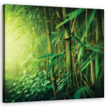 L&otilde;uendiprint Jungle bamboo 30x30 roheline