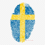 Hiina Hiina Dragon Iron on soojus&uuml;lekandel tr&uuml;kkimine Vin&uuml;&uuml;lplaastrid Kleebis riietele Ise ise teha aplikatsioonid pestavad plaastrid