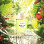 Paris Eau De Parfum Intense | Magus prantsuse vanilje ja rikkaliku merevaigu parf&uuml;&uuml;m naistele