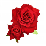 Roosilille juukseklamber naistele mere&auml;&auml;rne peo juukseklamber pruudi juuksen&otilde;elaga peakatted &uuml;hev&auml;rvilised peakatted punane