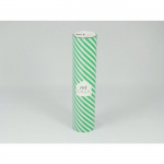 Masking Tape MT CASA 200mm Ray&eacute; stripe green