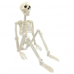 Halloweeni skelett, kogu keha liigutatavad liigesed Realistlikud inimskeleti kaunistused peoks kummitava maja nipiga pidulik m&auml;nguasi D