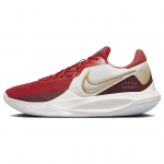 Nike Precision 6 Phantom Team Red Unisex tossud Valge Light-Crimson Metallic-Kuld DD9535-006 44