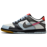 Nike Dunk Low GS Tantsu Laste Tossud Mitmev&auml;rvilised Summit-White Light-Armory-Blue FJ2686-100 36