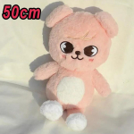 50cm SKZOO Karu Pehme Kallituspadi Nukk F&auml;nnide Kingitus Pehme M&auml;nguasi Soul FM N&auml;dal Kapiga Nukk Maagiline Kool Laste S&uuml;nnip&auml;evakingitus 1pcs gray