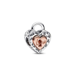 Pandora kahev&auml;rviline s&uuml;damekujuline lukuga v&otilde;lu Naiste v&otilde;lu H&otilde;be 782505C00 Silver,F