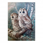 Full Drill 5D DIY Teemanttikandid V&auml;rvimine Full Drill Kodukaunistus Ilma raamita 20x25CM