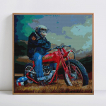 Teemantmaalingu orangutan mootorratta multifilm 5D DIY teemanttikandid t&auml;htkuju 30x30CM